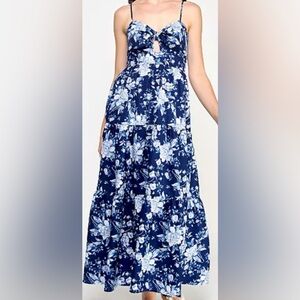 Floral Blue and White Dress